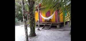 One of the bangaloos and the virgin forest nest to it. at Pousada Casinha Amarela in Cairu