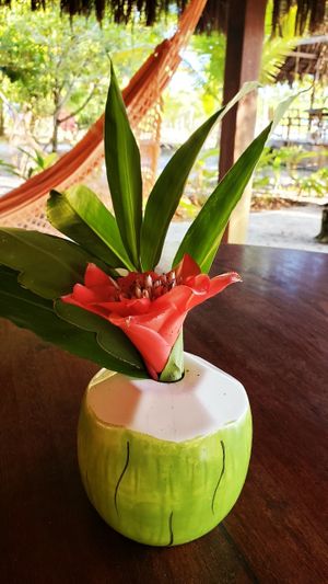 Kiosks where breakfast is served. at Pousada Casinha Amarela in Cairu