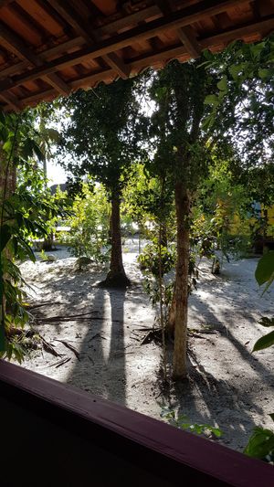 View from the bungalow  at Pousada Casinha Amarela in Cairu