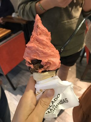 raspberry sorbet and vegan dark chocolate  at Valence Argentina in Buenos Aires