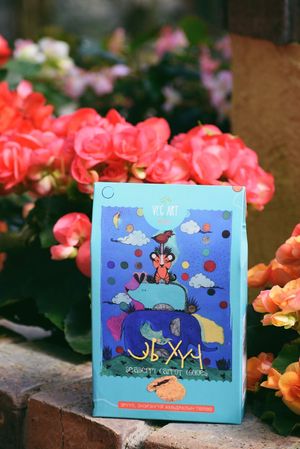 seaberry carrot cookie at Foody Healthy Bakery - Veg Art Naturals in Ulaanbaatar