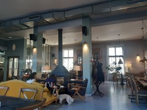 The venue #Veganuary at Smokvica - Kralja Petra in Belgrade