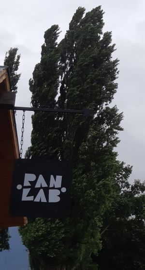 Exterior  at PanLab in Pucon