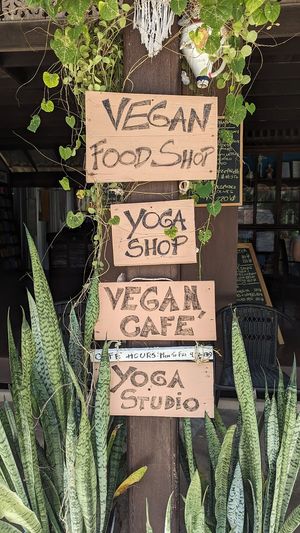  at MY Vegan Food Shop & Cafe in Koh Samui