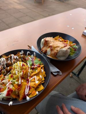 Tofu bowl und Enchilada at Zum Kleinen Esel in Bochum