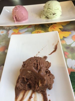   at Vegan Vacation in Bergen