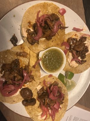   at Kraftpaule in Stuttgart