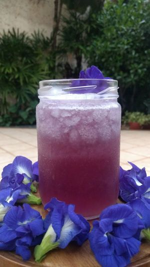 Purple Limonade at Ovelha Verde in Goiania