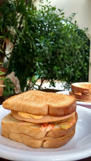 Duplo Grelhado at Ovelha Verde in Goiania