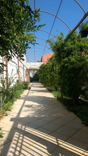 Ovelha Verde at Ovelha Verde in Goiania