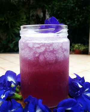 Purple Lemonade at Ovelha Verde in Goiania