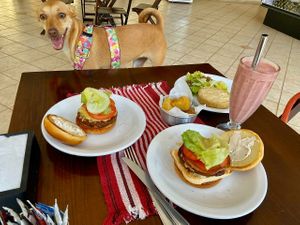 Pet Friendly at Ovelha Verde in Goiania