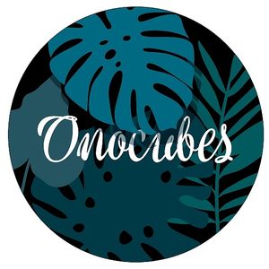 Logo at Onocubes in Frankfurt