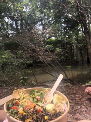 Yummo  at Maple & Sage in Maleny