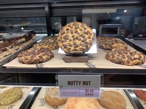   at Kürtősh in Randwick