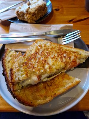 Black Cactus vegetarian and vegan friendly cafe! at Black Cactus  in Blandford Forum