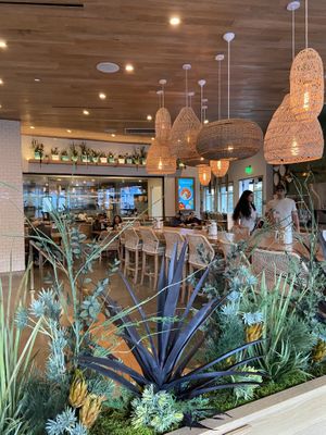 Interior at Tocaya Modern Mexican - One Paseo in San Diego