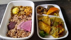 Look at this. This is a double decker (two levels in one) bento for take away. Super affordable and amazing tastes. Cannot recommend this enough. at Koushikisabou 香色茶坊 in Tukuba