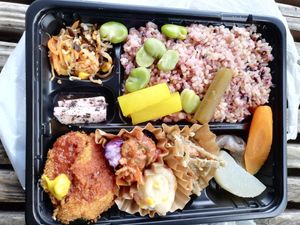 Obento with vege tonkatsu (just 600 jpy) at Koushikisabou 香色茶坊 in Tukuba