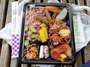 Bento with vege tonkatsu (just 600 jpy) at Koushikisabou 香色茶坊 in Tukuba