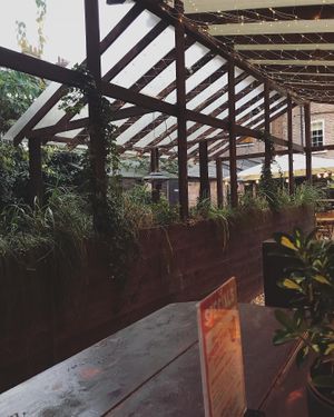 🪴  at Döner Summer in York