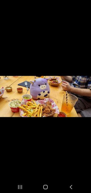 Combo platter at Döner Summer in York