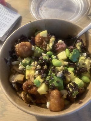   at Bamboo Plant Power in Cape Town