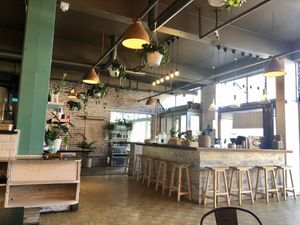 Space and light at Bamboo Plant Power in Cape Town