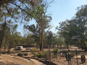 Camping area at The Blue Wren Cafe in Coonabarabran