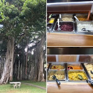 Nice property, tasty dishes:) at Govinda's Vegetarian Buffet in Honolulu