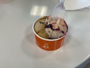 Vegan trail blazer scoop and peanut butter choc. at (402) Creamery in Lincoln