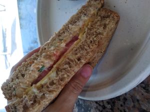 Tuno sandwich at Life The Vegan Drivethru in Cape Coral. at Life - The Vegan Drive Thru in Cape Coral