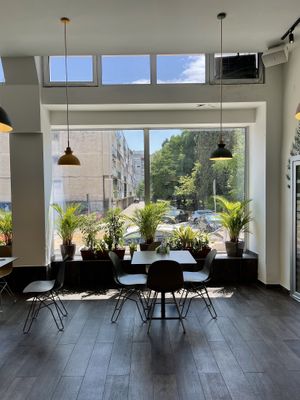 Lots of plants at Paradise Food in Podgorica