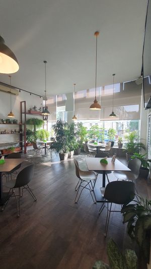 Locale at Paradise Food in Podgorica