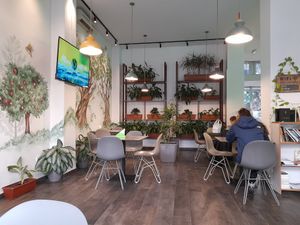 Plants at Paradise Food in Podgorica