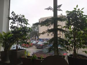  at Paradise Food in Podgorica