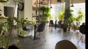 Interior  at Paradise Food in Podgorica