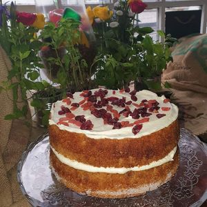 Vegan Cranberry and Goji Berry (From Social Media) at Thingy-ma-jigs in Guisborough