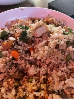 Com chien   at CO in Raleigh