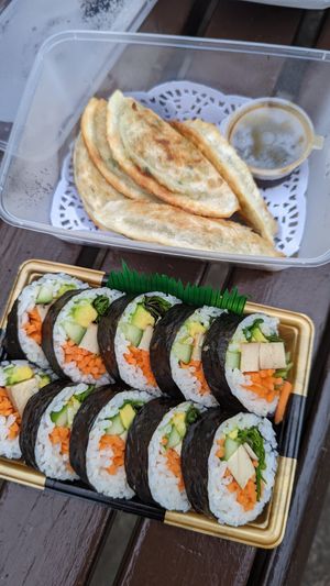 Vegan dumplings and vegan sushi rolls at Japanese Bento House in Wollongong