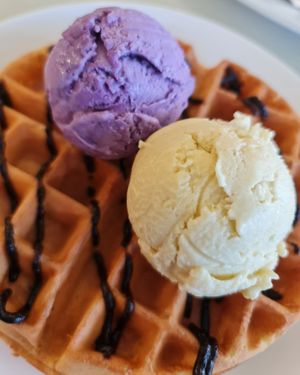 Bamnut Waffle with D24 Durian  & Purple Sweet Potato ice cream ~ 22/2/22 at Mong Cha Cha Cafe 夢茶茶 in Central Singapore