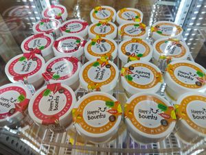 Vegan yoghurt at Mong Cha Cha Cafe 夢茶茶 in Central Singapore