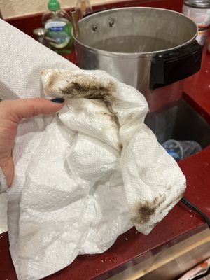 Mold from the urn  at Ariela's Pizza & Kosher Kitchen in Las Vegas