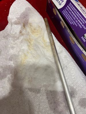  at Ariela's Pizza & Kosher Kitchen in Las Vegas