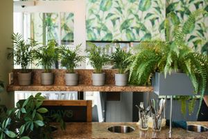 Green, Green, Green at The Veg Box Cafe - Canterbury in Canterbury