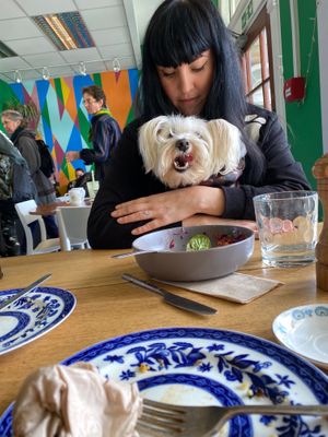 100% dog friendly 💚🌱 at The Veg Box Cafe - Canterbury in Canterbury