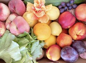 One of my boxes - eating the rainbow 🥰❤️🧡💛💚🩵💙💜🩷  at Agricultura Vedica Maharishi in Nerja