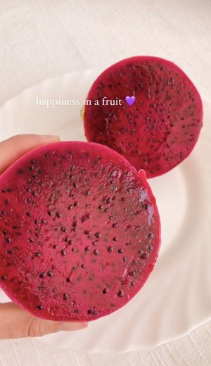 Their dragonfruits are terrific!   at Agricultura Vedica Maharishi in Nerja