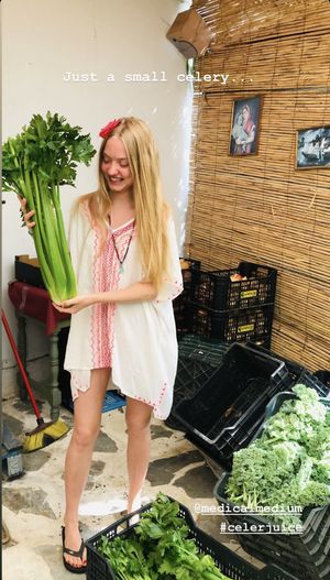 The size of their celery when it’s in season 🤩  at Agricultura Vedica Maharishi in Nerja