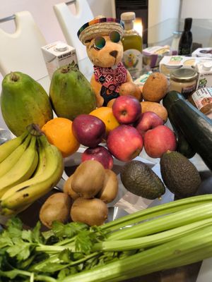  at Agricultura Vedica Maharishi in Nerja